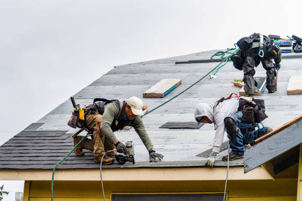 Professional Roofing technician working in Moran, WY